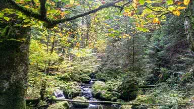 WanderZEit