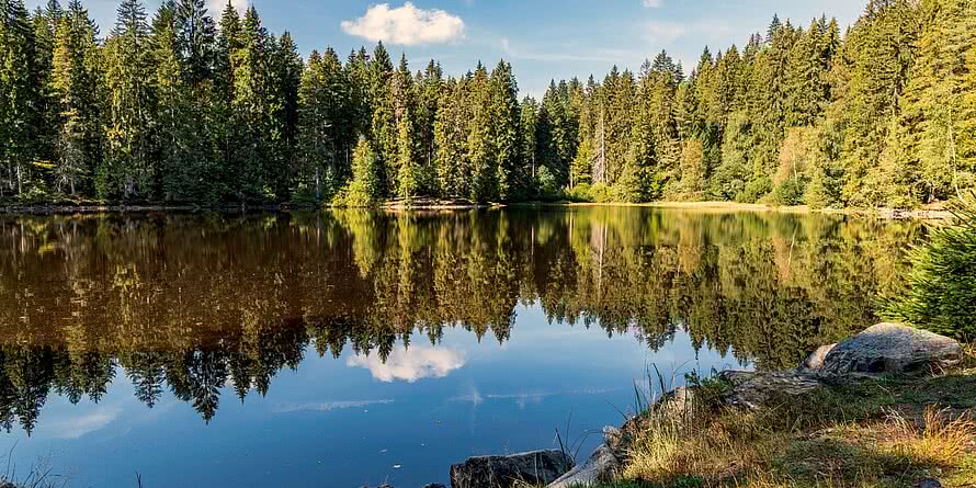 See in der Nähe des Hotel Bären Titisee